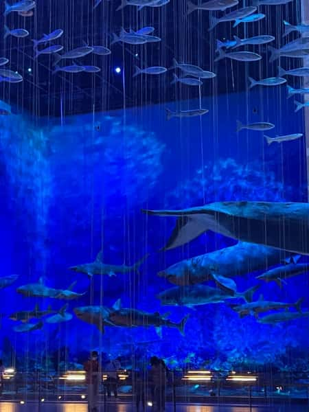 Древние артефакты и скульптуры в музее Гуандуна