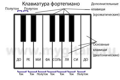 Октава тон